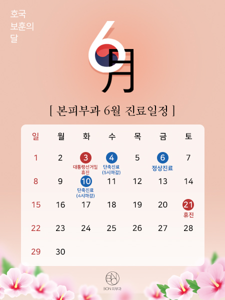 진료일정